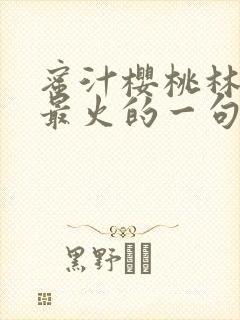 蜜汁樱桃林妙妙最火的一句