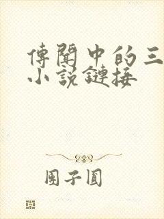 传闻中的三公主小说链接