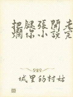 把腿张开老子臊烂你小说完