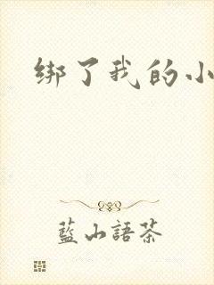 绑了我的小乖乖