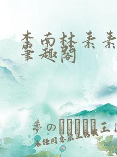 李南林素素小说笔趣阁