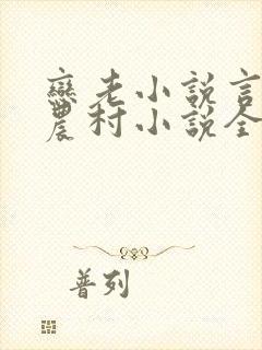 恋老小说言情网农村小说全文阅读