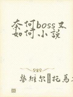 奈何boss又如何小说