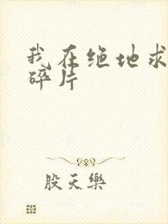 我在绝地求生捡碎片