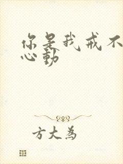 你是我戒不掉的心动