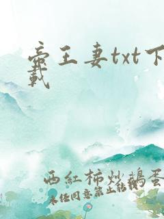 帝王妻txt下载