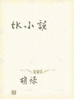 tk小说