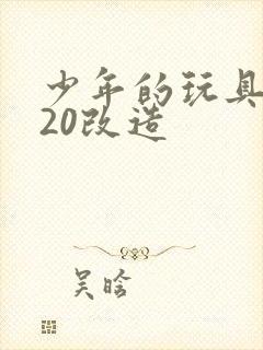 少年的玩具1一20改造