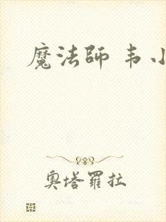 魔法师 韦小宝