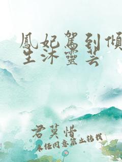 凤妃驾到倾倒众生沐灵芸