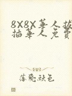 8X8X华人拔插华人免费