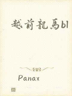 越前龙马bl
