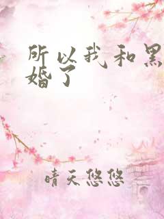 所以我和黑粉结婚了