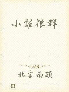 小说狼群