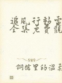 追风行动电视剧全集免费观看