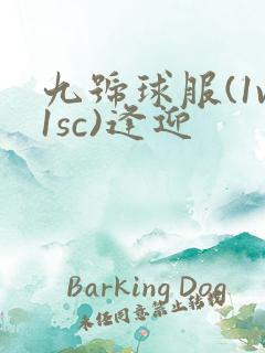 九号球服(1v1sc)逢迎