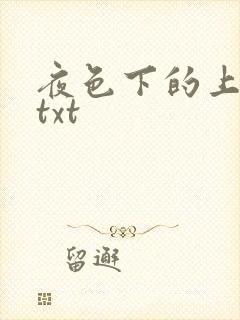 夜色下的上海滩txt