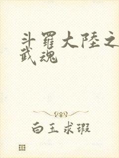 斗罗大陆之三生武魂