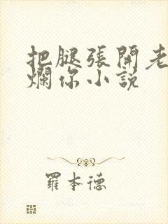 把腿张开老子臊烂你小说