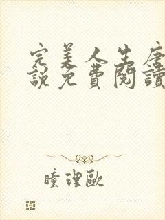 完美人生唐诚小说免费阅读