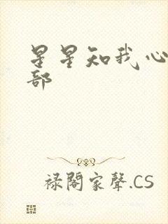 星星知我心第二部