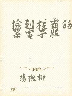 捡到校霸的遥控器电子版