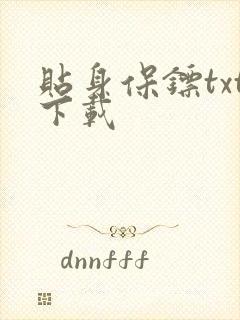 贴身保镖txt下载