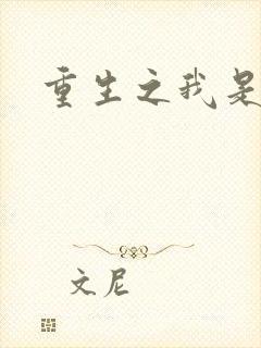重生之我是段誉