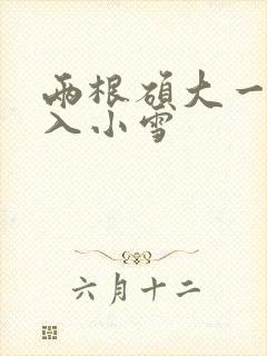 两根硕大一起挤入小雪