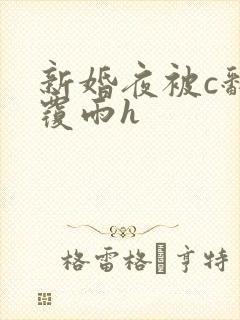 新婚夜被c翻云覆雨h