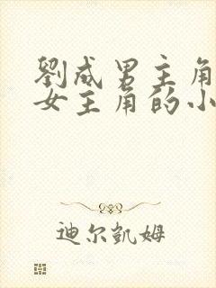 刘成男主角刘雪女主角的小说