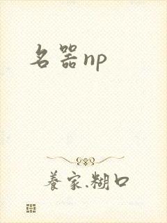 名器np