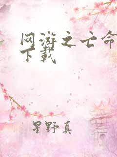 网游之亡命天涯下载