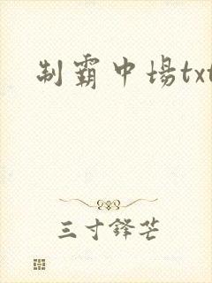 制霸中场txt