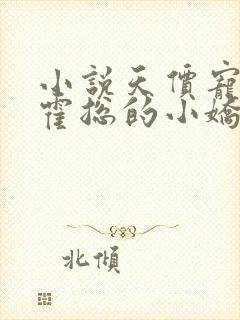 小说天价宠妻:霍总的小娇妻