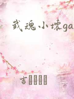 武魂小坏ga