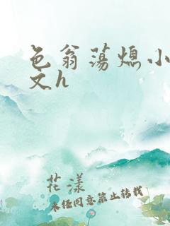 色翁荡熄小说全文h