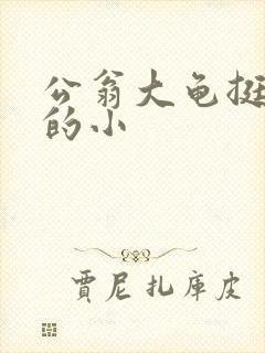 公翁大龟挺进我的小