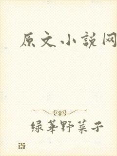 原文小说网