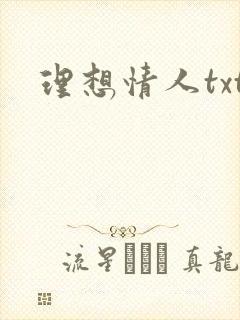 理想情人txt