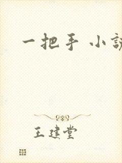 一把手 小说