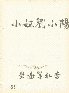 小妞刘小阳