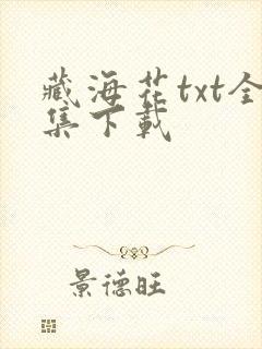 藏海花txt全集下载