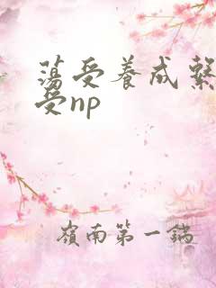荡受养成系统总受np