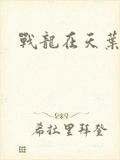 战龙在天叶凡