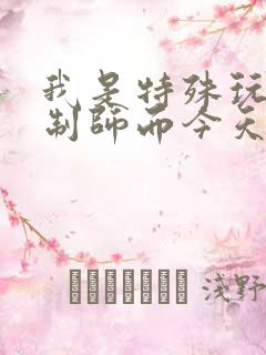 我是特殊玩具定制师而今天的客户