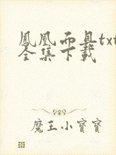 凤凰面具txt全集下载