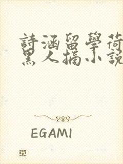 诗涵留学荷兰被黑人摘小说