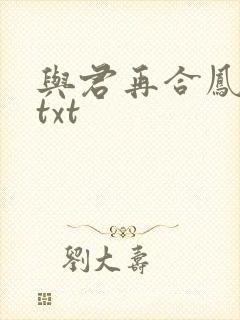 与君再合凤求凰txt