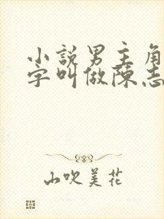 小说男主角的名字叫做陈志远